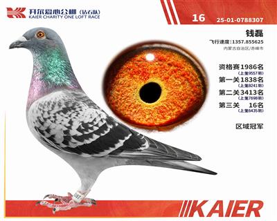 25���@ʯ�(du��)�Qِ16�����^(q��)���܊