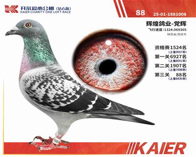 25���@ʯ�(du��)�Qِ88��