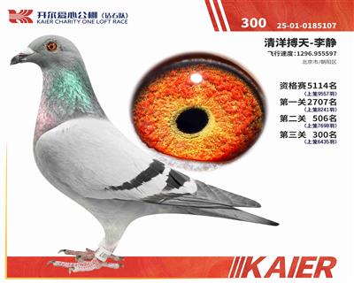 25���@ʯ�(du��)�Qِ300��