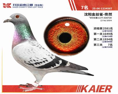 25���K���(du��)�Qِ7��