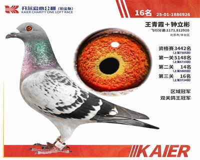 25�견���˫�ظ����ھ�������16��