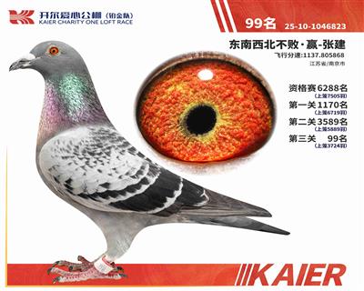 25���K���(du��)�Qِ99��