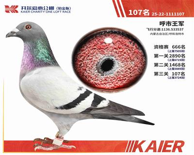 25���K���(du��)�Qِ107��