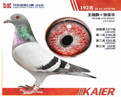 25���K���(du��)�Qِ192��