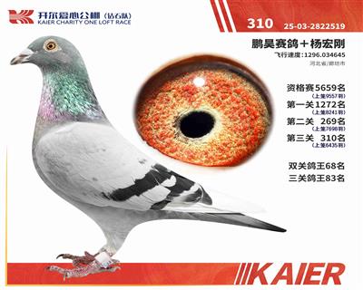 25���@ʯ�(du��)�Qِ310��