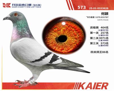 25���@ʯ�(du��)�Qِ573��