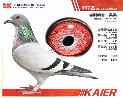 25���K���(du��)���P(gu��n)����14��