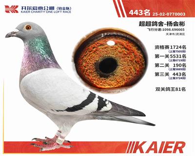 25���K���(du��)�Qِ443��