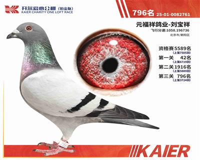 25���K���(du��)�Qِ796��