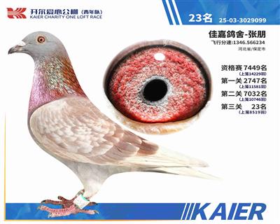 25�������(du��)�Qِ23��