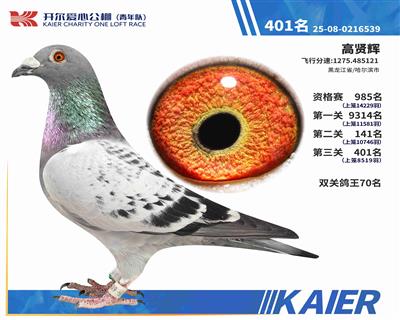 25�������(du��)�Qِ401��