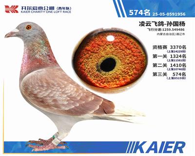 25�������(du��)�Qِ574��