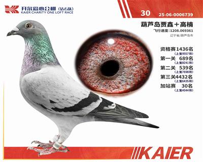 25���@ʯ�(du��)��վِ30��