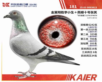 25���@ʯ�(du��)���P(gu��n)����6������վ181��