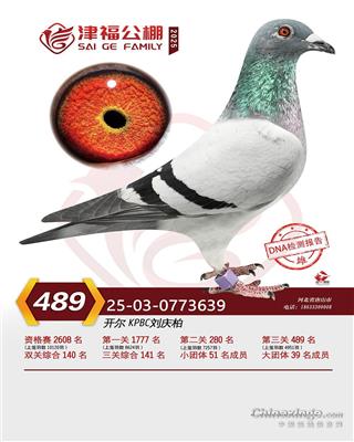 25�������򸣛Qِ489��