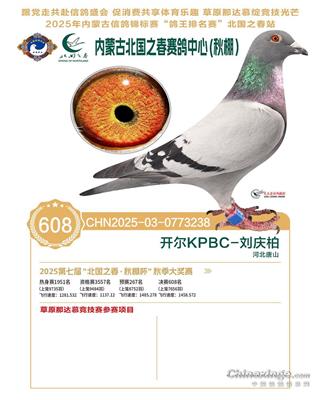 25���ﱱ��֮������608��