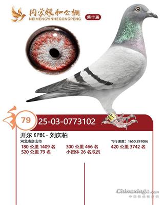 25�������;���79��