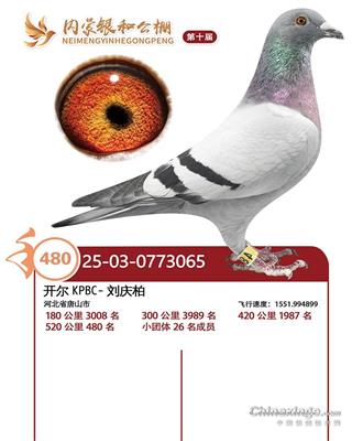 25�������;���480��