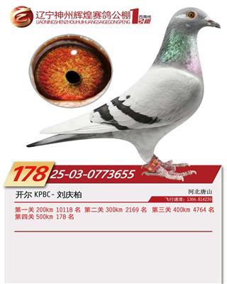 25�������ݻԻ�1�������178��