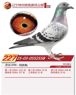 25��������1���Ĺظ���24������227