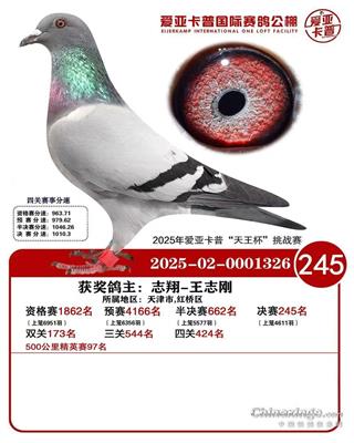 ����ǿ��վ���245��