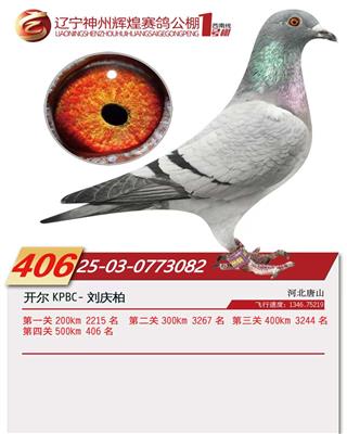 25���������x��1̖(h��o)��Qِ406��