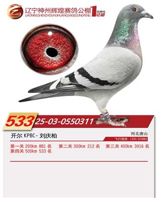 25���������x��1̖��Qِ533��