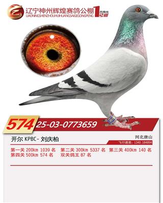 25���������x��1̖��Qِ574��