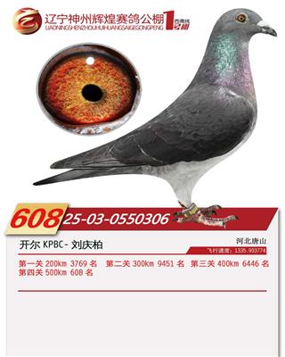 25���������x��1̖��Qِ608��