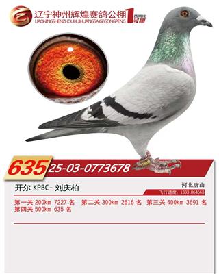 25���������x��1̖��Qِ635��