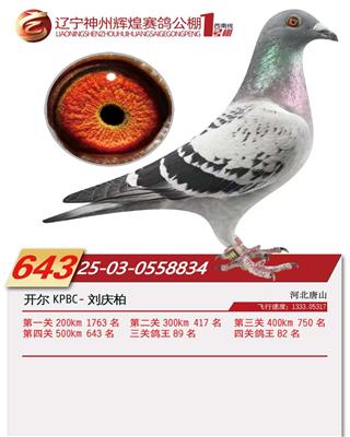 25���������x��1̖(h��o)��Qِ643��