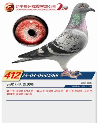 25���������x��2̖(h��o)��Qِ412��