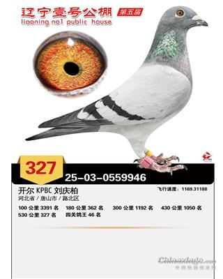 25��������Ҽ�ž���327��