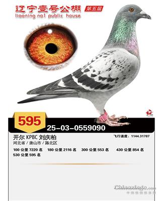 25��������Ҽ�ž���595��