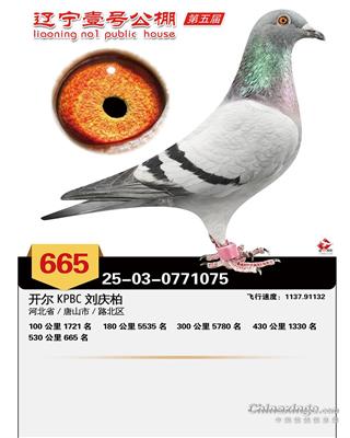 25��������Ҽ�ž���665��