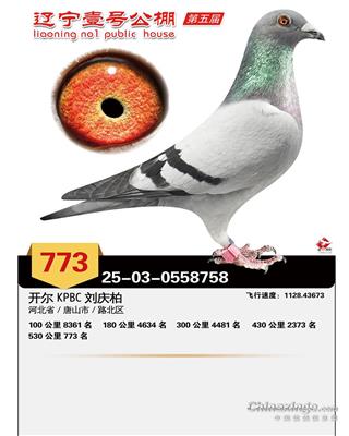 25��������Ҽ�ž���773��