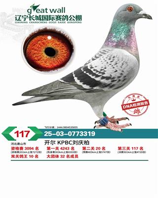 25����������˫�ظ���10��������117