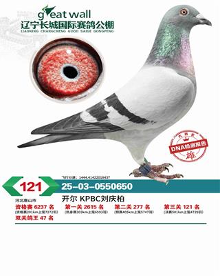 25�����������Ǿ���121��