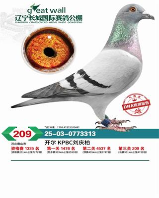 25�����������Ǿ���209��