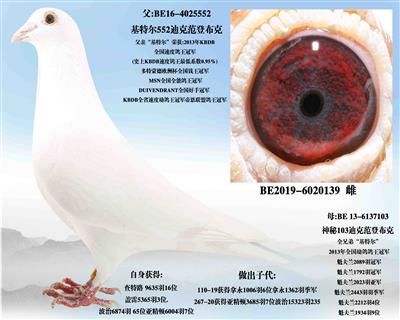 �����Ϻš���Ѫ