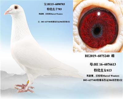 ������ֱ��703��ֱŮ