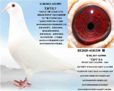 �����ϡ�ֱ��XֱŮ