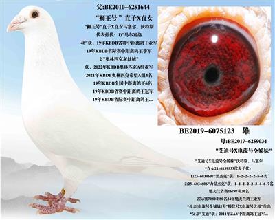 ʨ����ֱ��XֱŮ