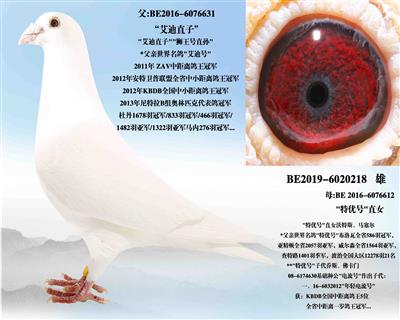 �����Ϻ�ֱ��X���ź�ֱŮ��