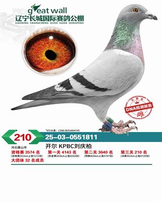 25�����������Ǿ���210��