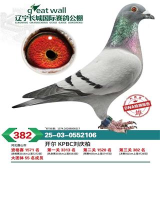 25�����|���L�ǛQِ382��