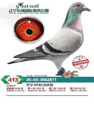 25�����|���L�ǛQِ413��