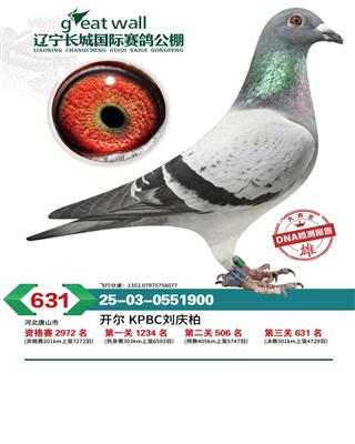 25�����������Ǿ���631��