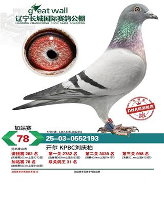 25�����������Ǽ�վ��78��