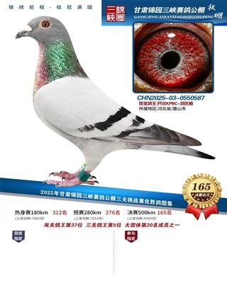 25�����԰���ظ���5��